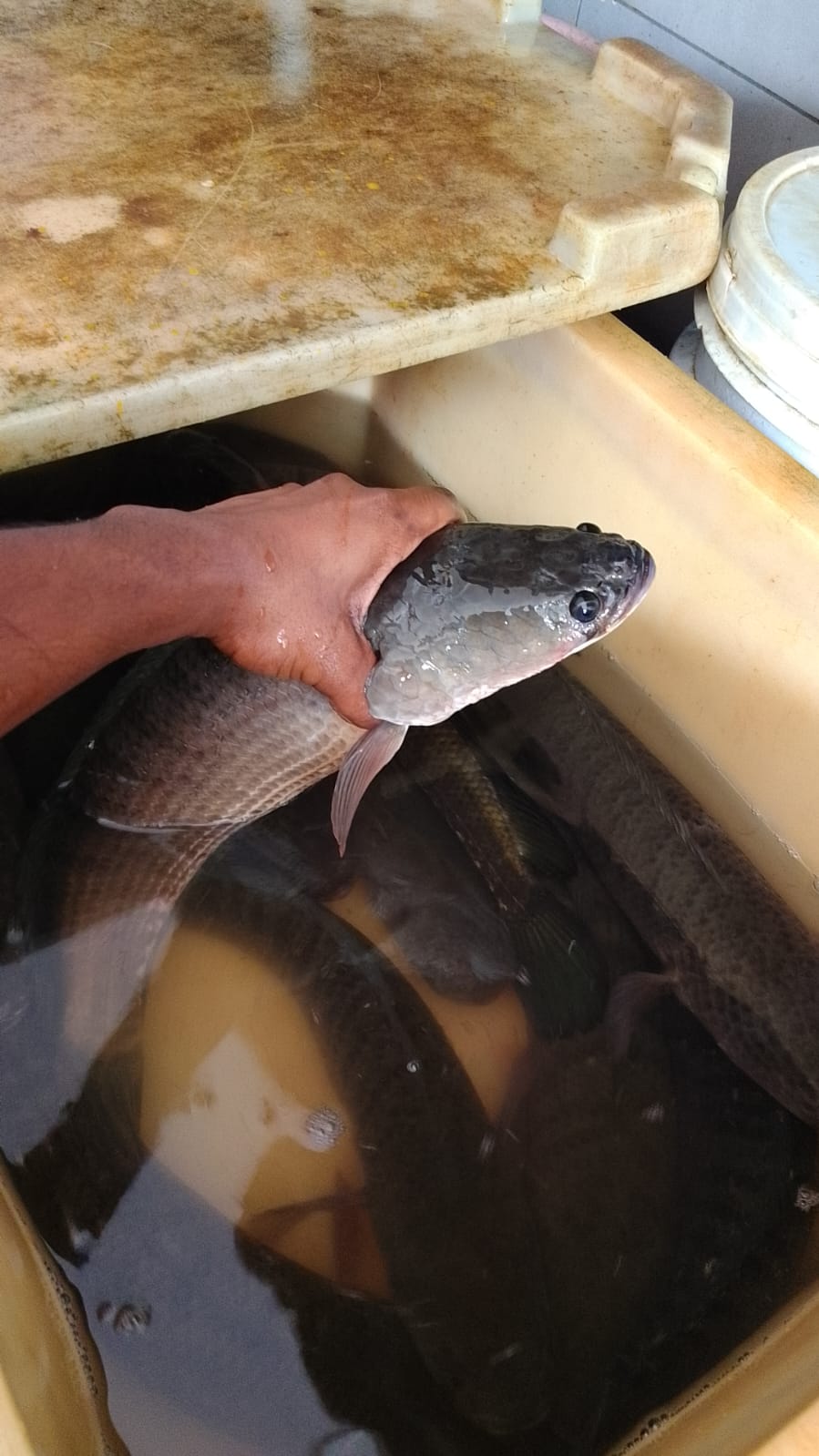 WhatsApp Image 2026-01-08 at 11.28.31 AM (2)