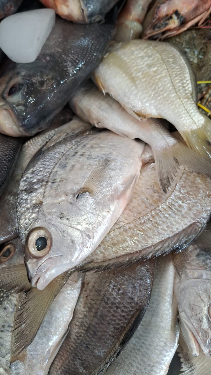 WhatsApp Image 2026-01-08 at 11.28.32 AM (1)