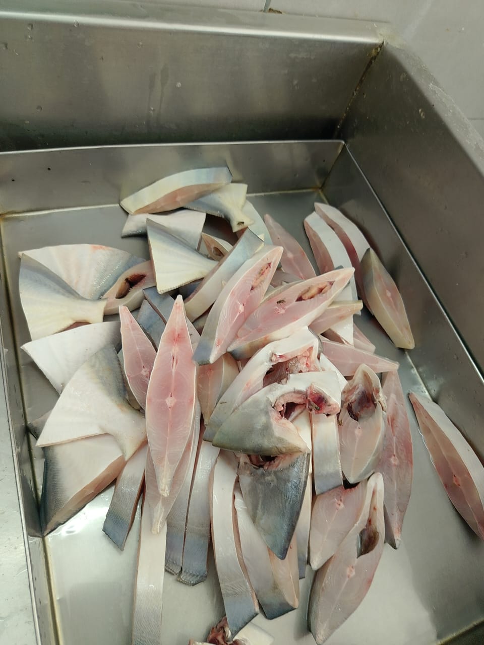 WhatsApp Image 2026-01-08 at 11.28.33 AM (2)