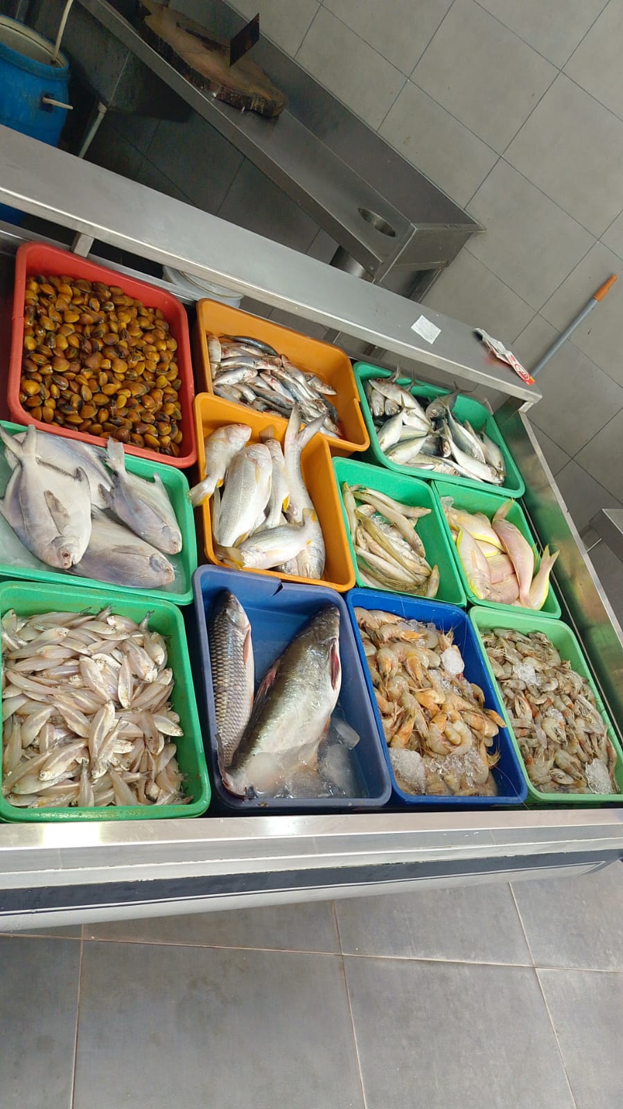 WhatsApp Image 2026-01-08 at 11.28.34 AM (1)