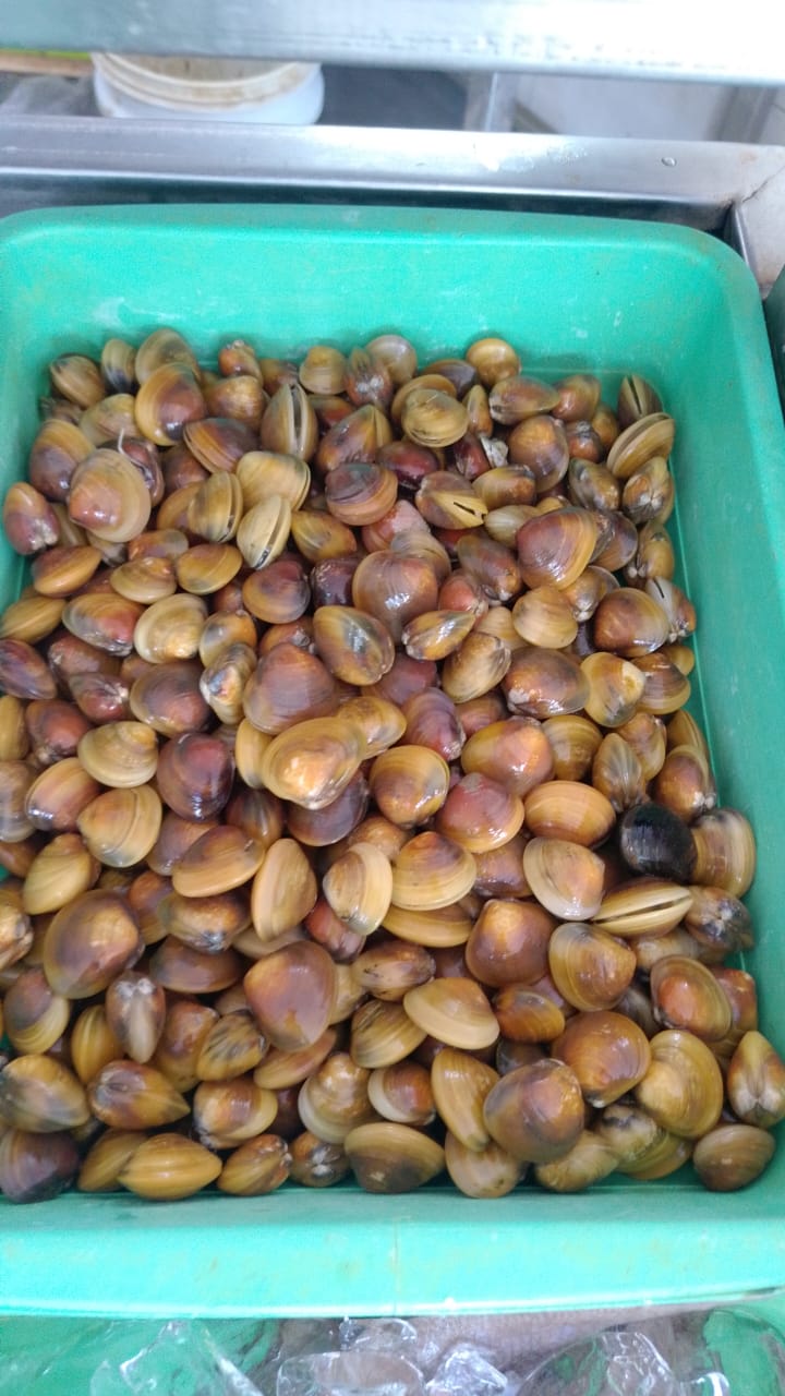 WhatsApp Image 2026-01-08 at 11.28.34 AM