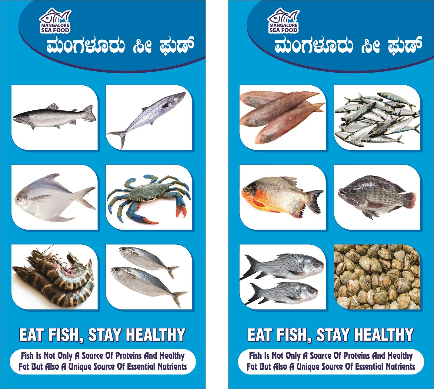 WhatsApp Image 2026-01-08 at 11.28.35 AM (1)