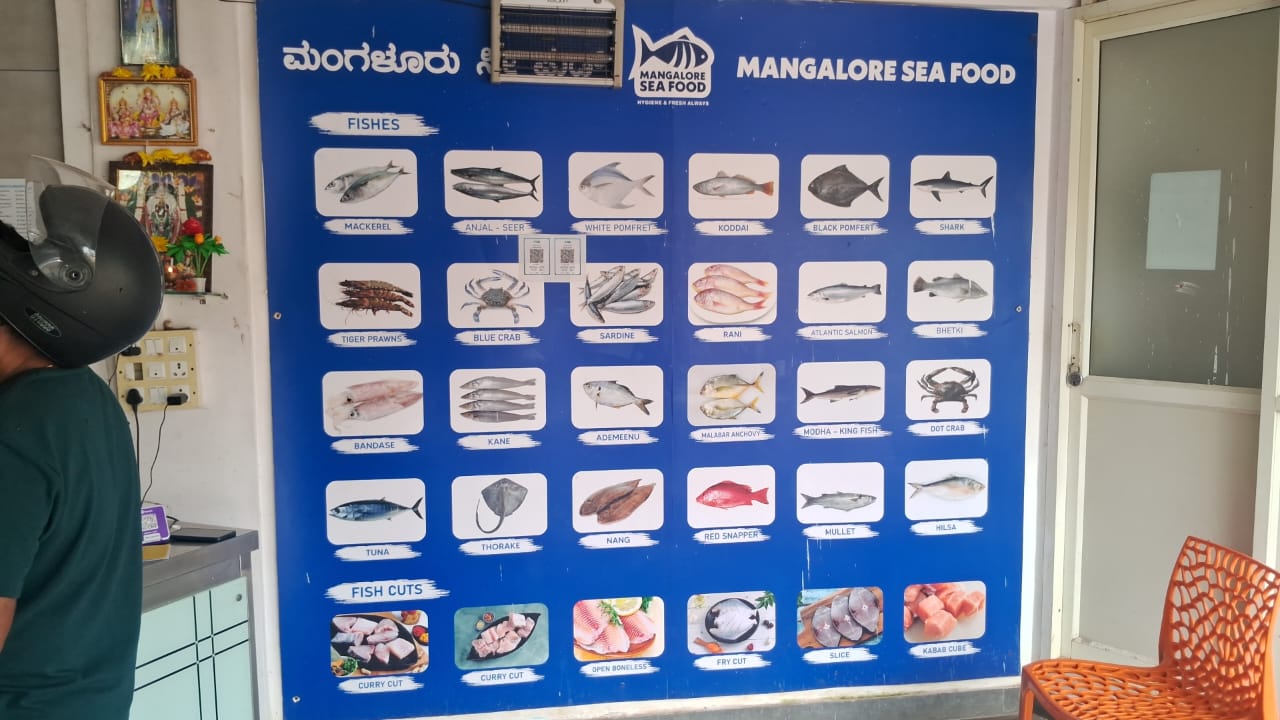 WhatsApp Image 2026-01-08 at 11.28.36 AM