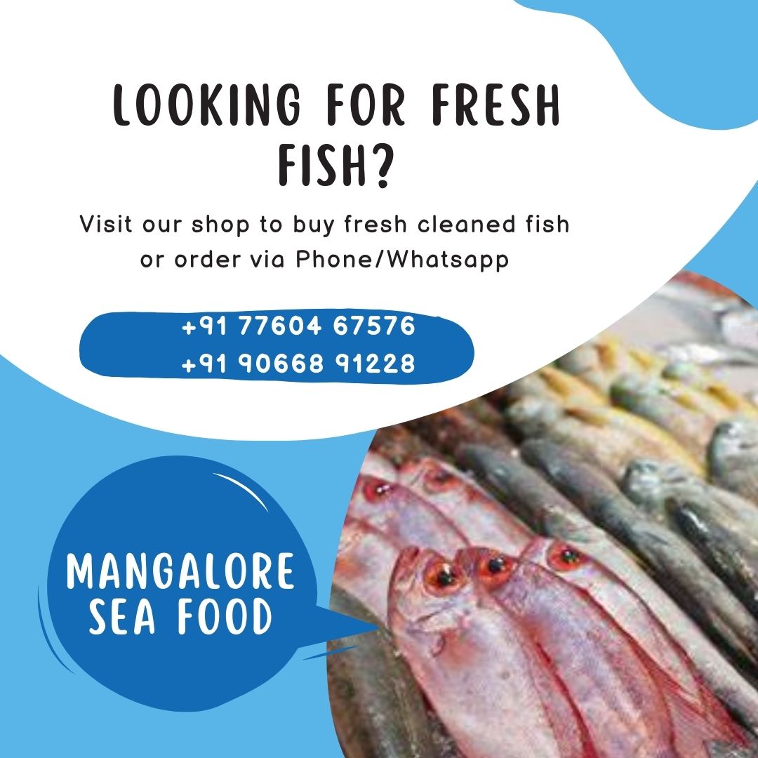 WhatsApp Image 2026-01-08 at 11.28.37 AM (1)