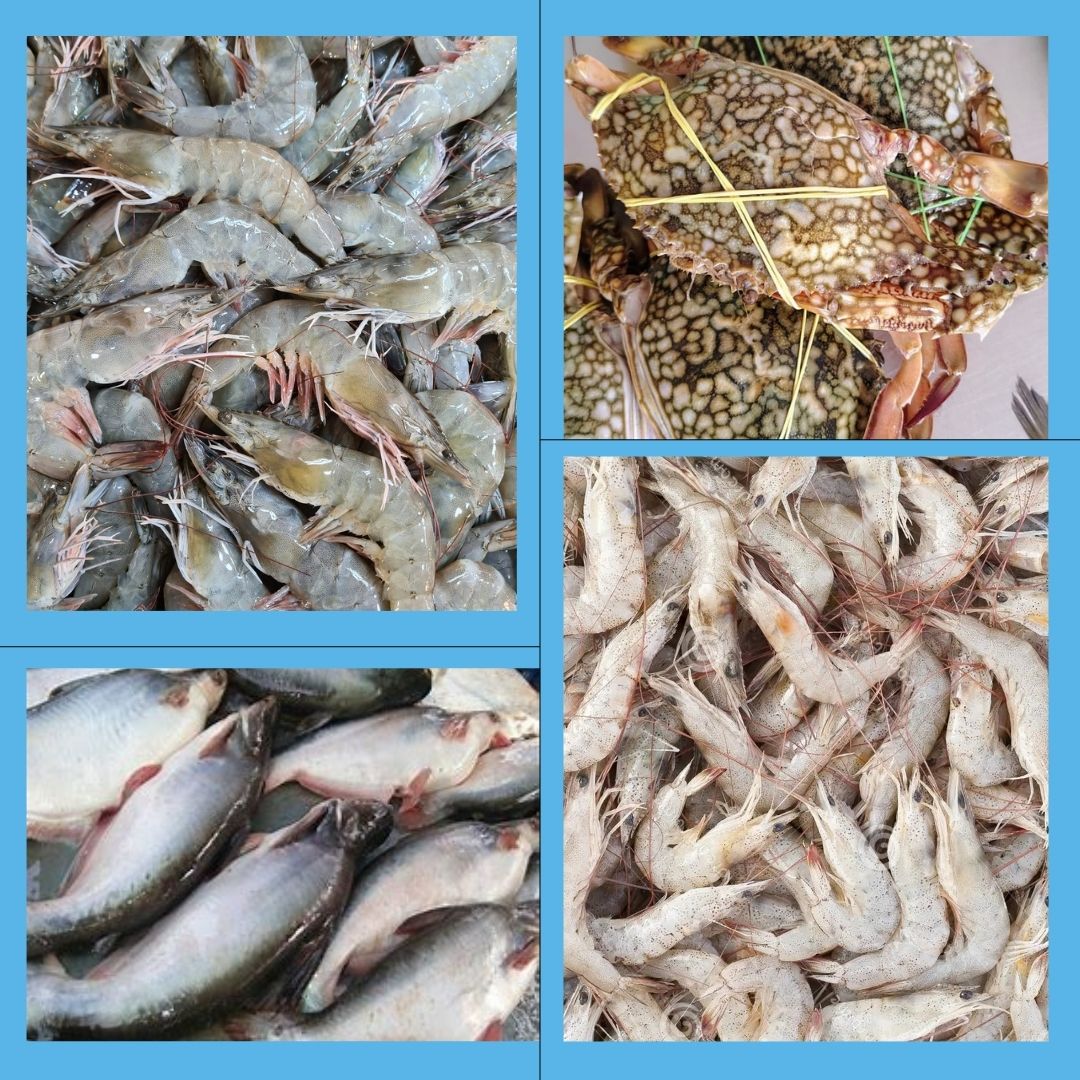 WhatsApp Image 2026-01-08 at 11.28.37 AM