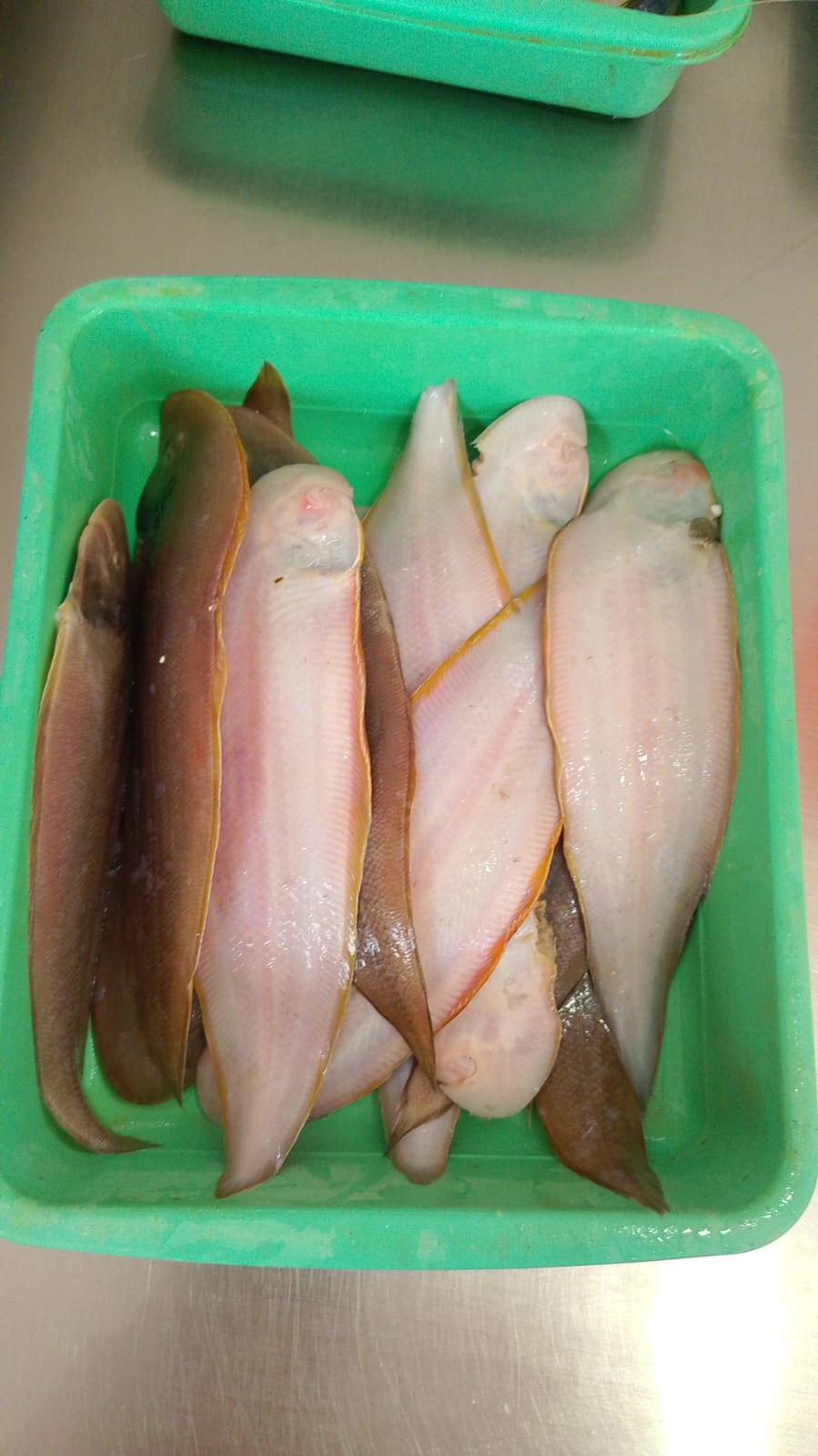 WhatsApp Image 2026-01-08 at 11.28.39 AM (2)