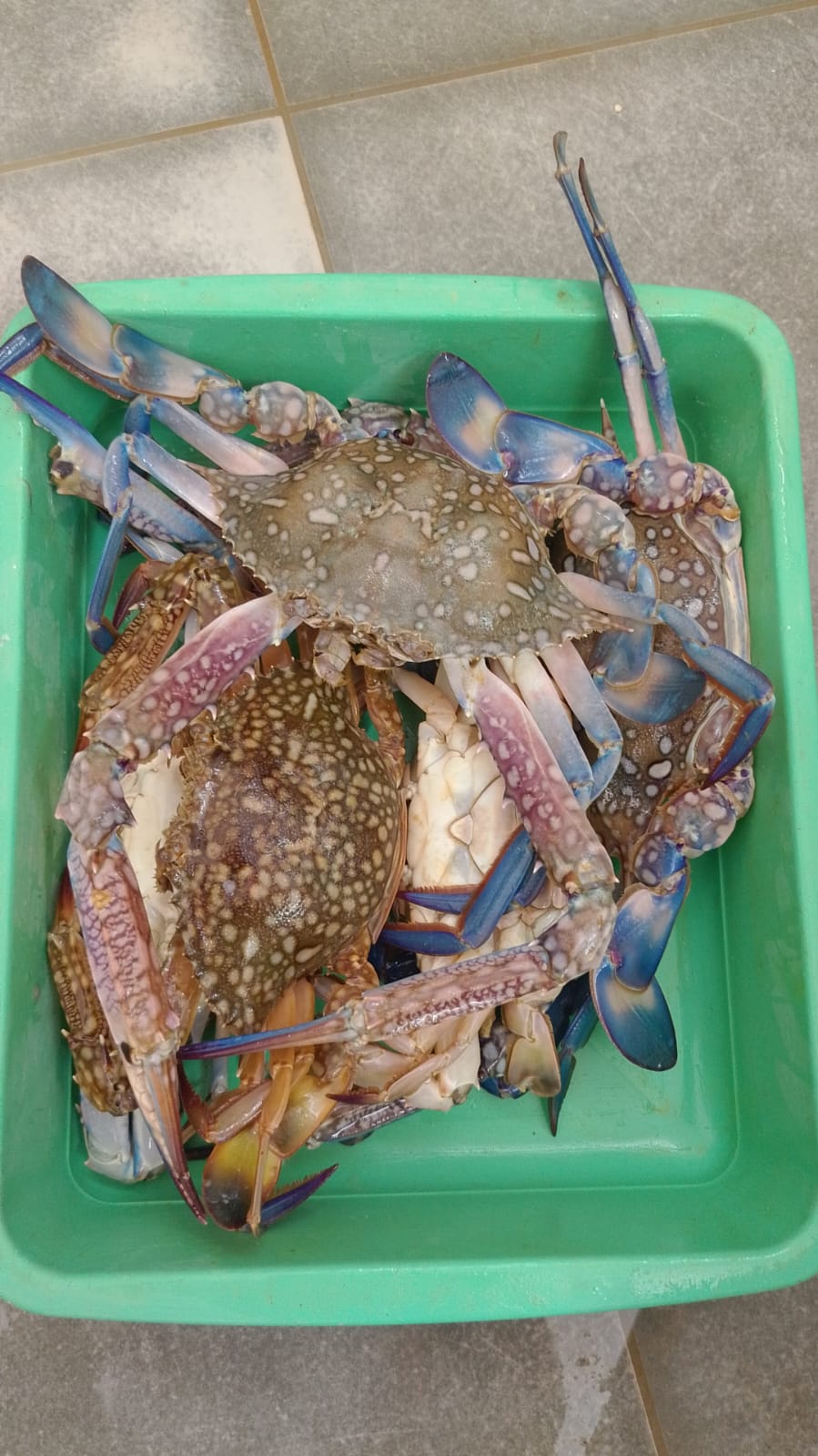 WhatsApp Image 2026-01-08 at 11.28.39 AM