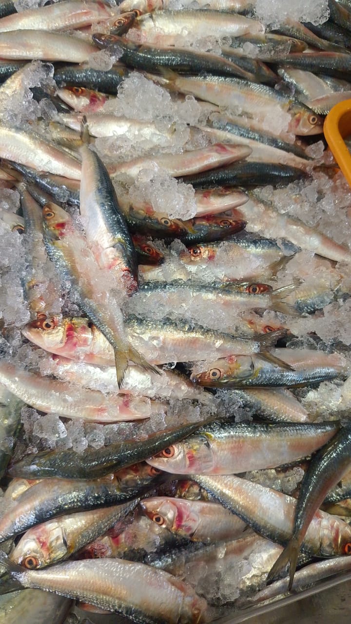 WhatsApp Image 2026-01-08 at 11.28.40 AM