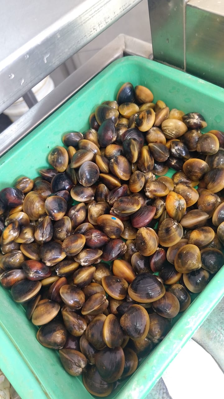 WhatsApp Image 2026-01-08 at 11.28.41 AM (1)