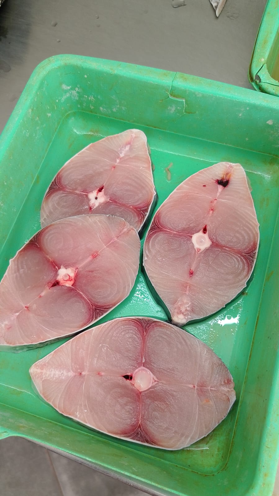 WhatsApp Image 2026-01-08 at 11.28.42 AM (1)