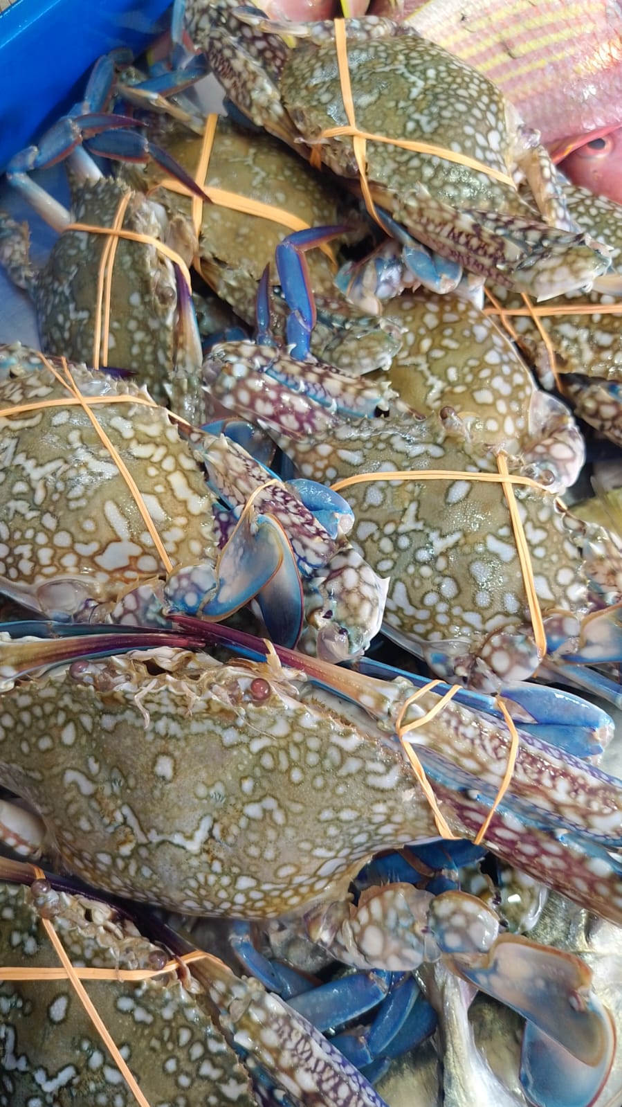 WhatsApp Image 2026-01-08 at 11.28.42 AM