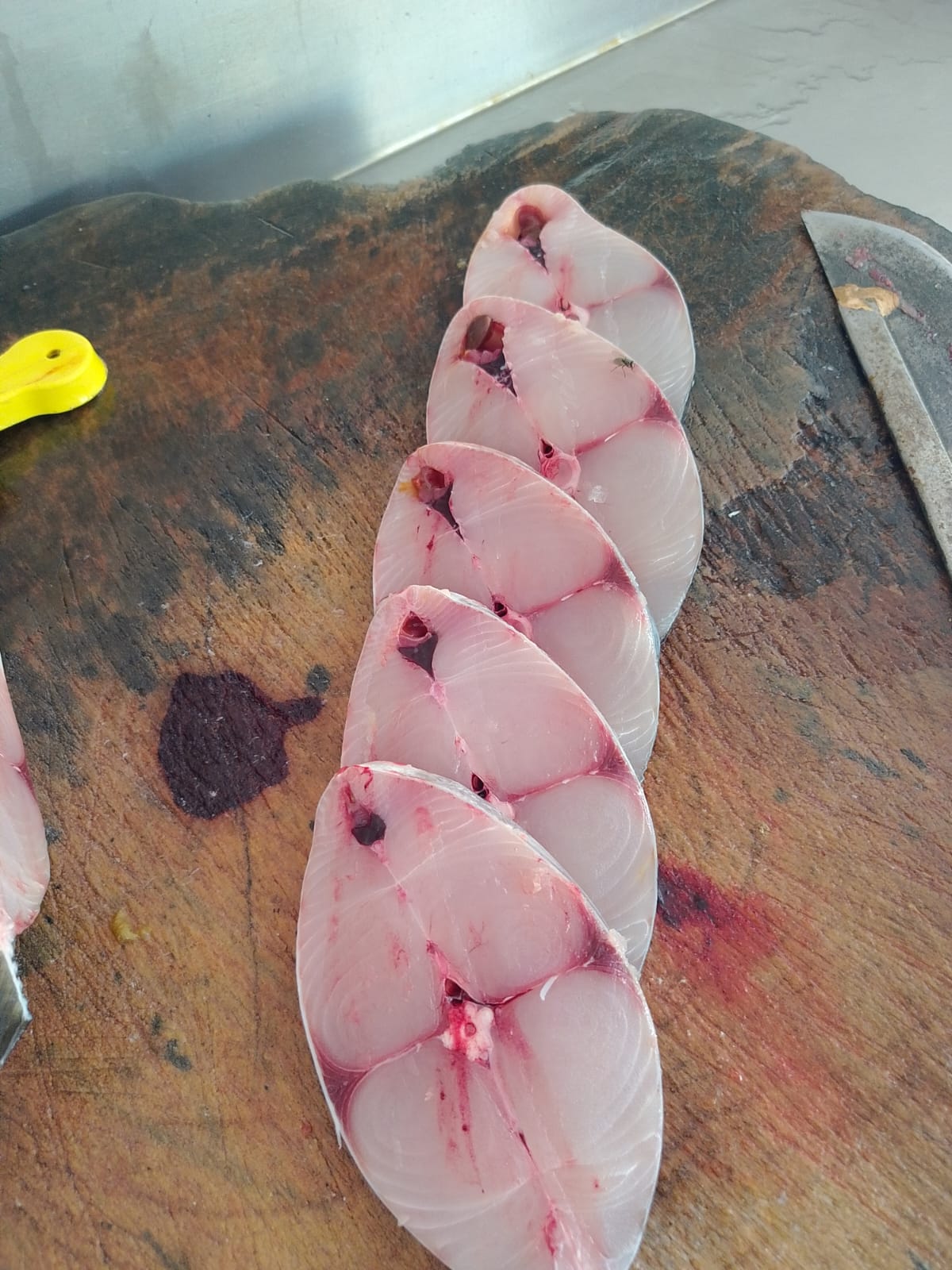 WhatsApp Image 2026-01-08 at 11.28.43 AM (1)