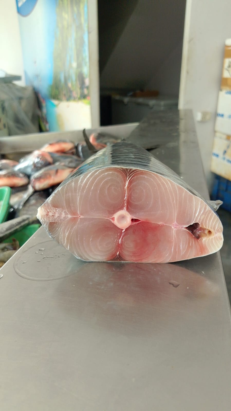 WhatsApp Image 2026-01-08 at 11.28.43 AM