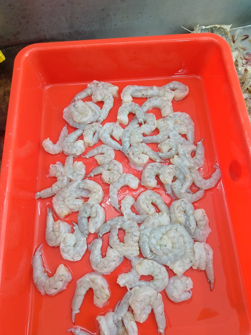 WhatsApp Image 2026-01-08 at 11.28.44 AM