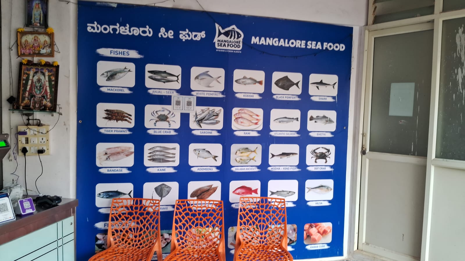 WhatsApp Image 2026-01-08 at 11.28.46 AM