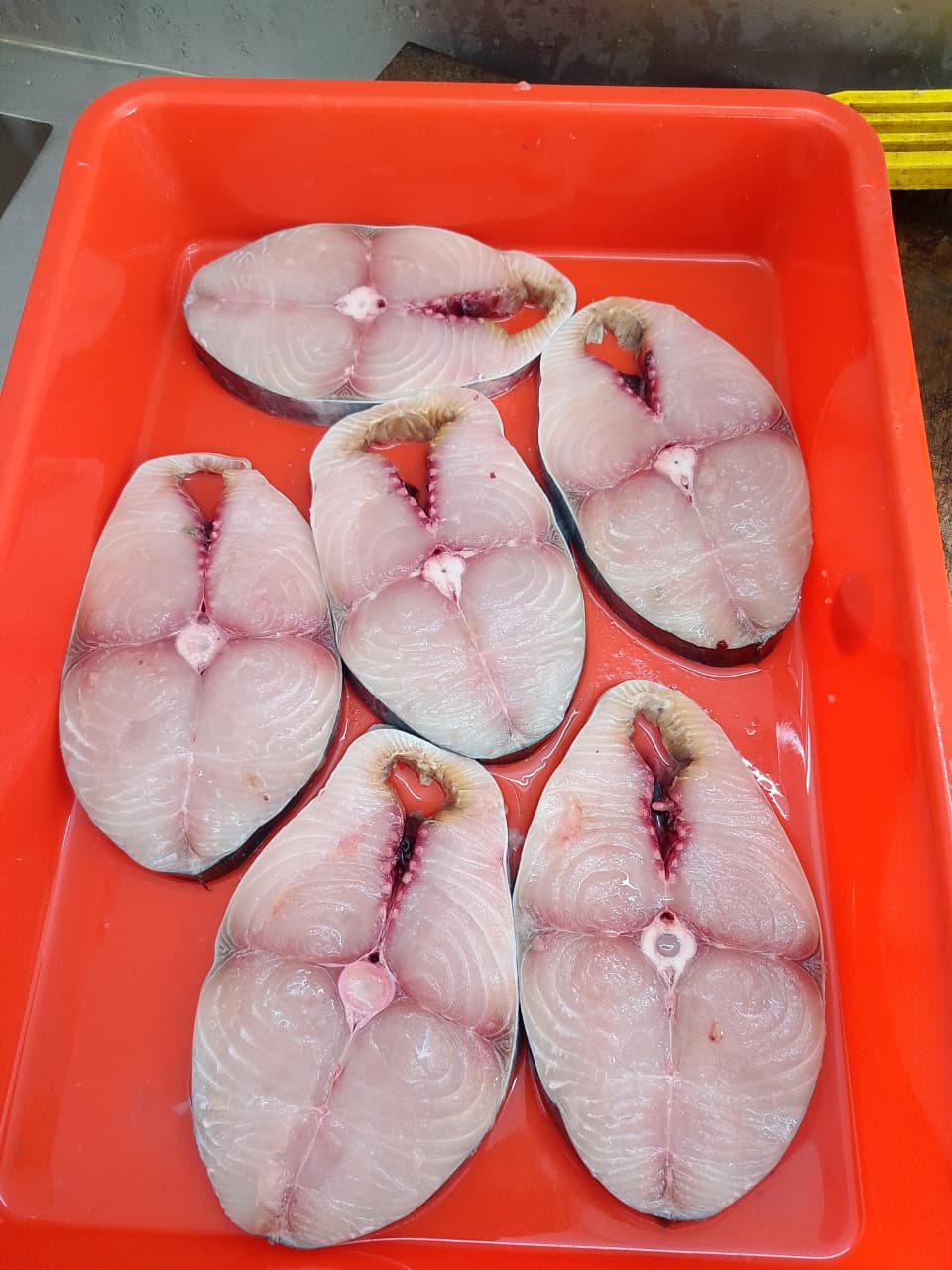 WhatsApp Image 2026-01-08 at 11.28.48 AM